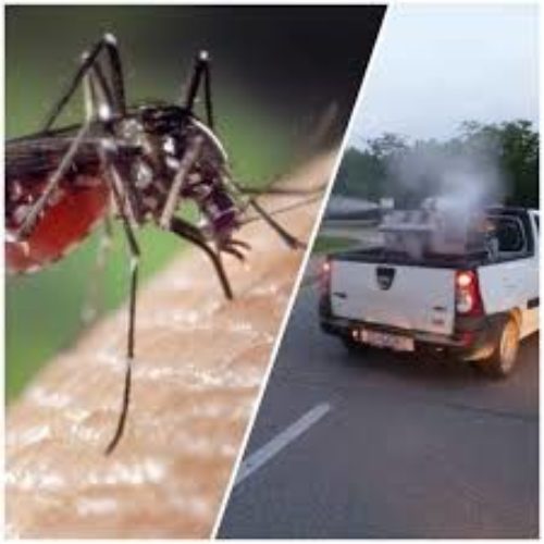 ДЕЗИНСЕКЦИЈА